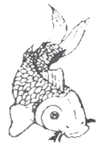 dessin d'une carpe